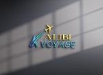 Alibi Voyage